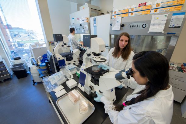 Lab research