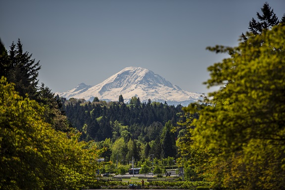 Rainier